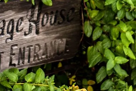 Messina Hof Winery & Resort-3